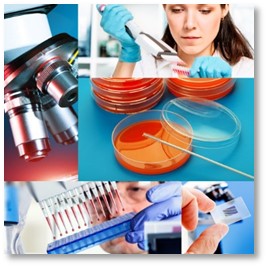 ArborSys Pharmaceutical industry services solutions